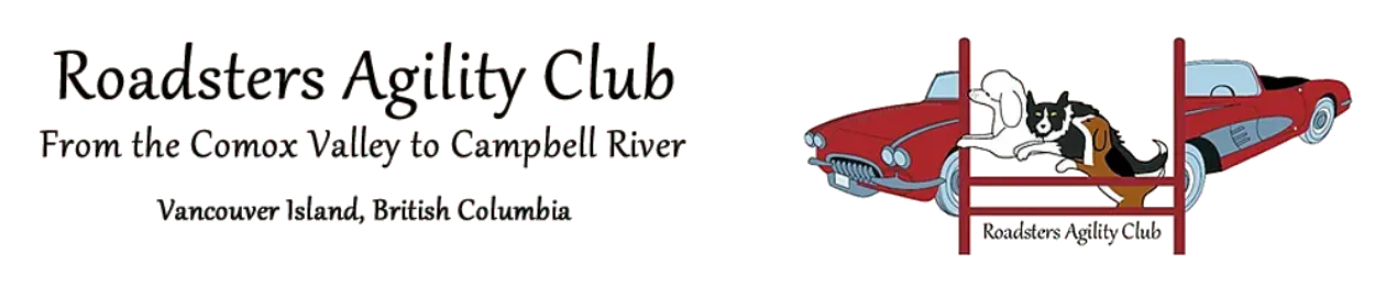 Logo large tranparent